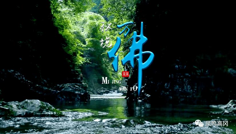 逗小猴开心系列166