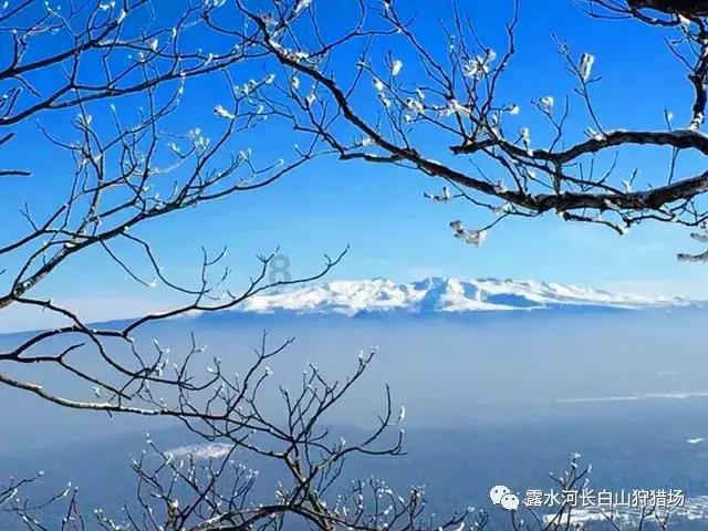 莫雷托:拜仁在圣诞后电话咨询邓弗里斯的价格,但之后就没进展了