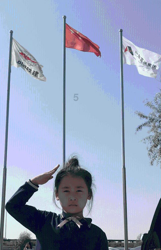 58问答交流平台—金银花怎么晒干不发黑专业答疑解惑